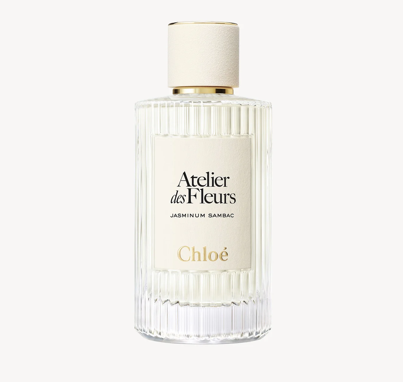 Chloé Atelier Des Fleurs Jasminum Sambac