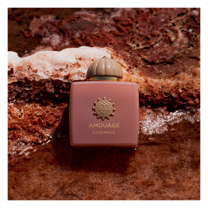 Amouage Guidance