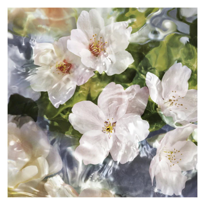 GUERLAIN Aqua Allegoria Flora Cherrysia