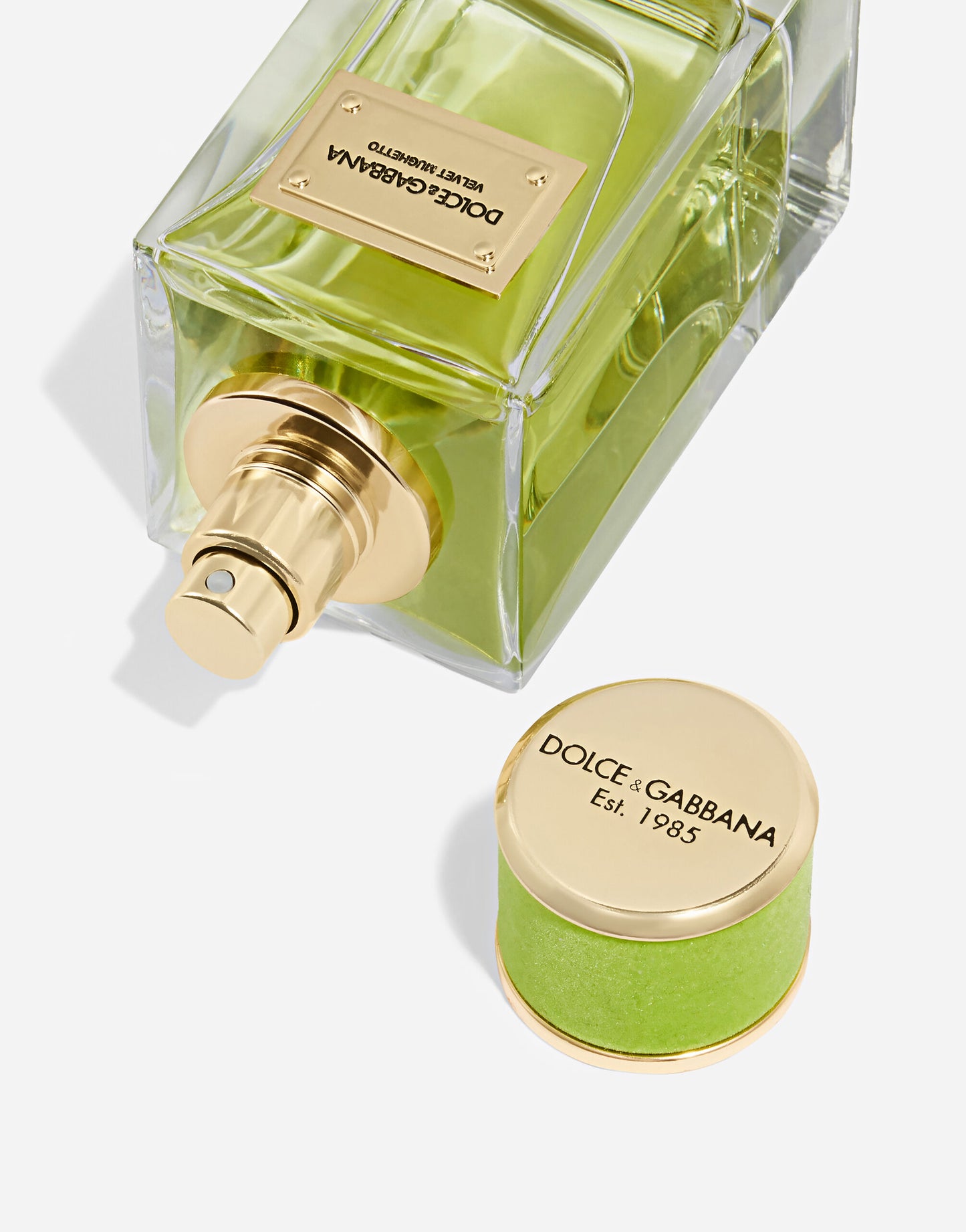 Dolce&Gabbana Velvet Mughetto