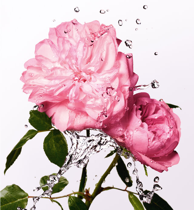Miss Dior Rose Essence