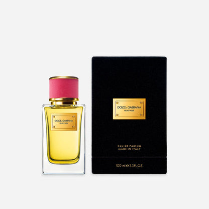 Dolce&Gabbana Velvet Rose