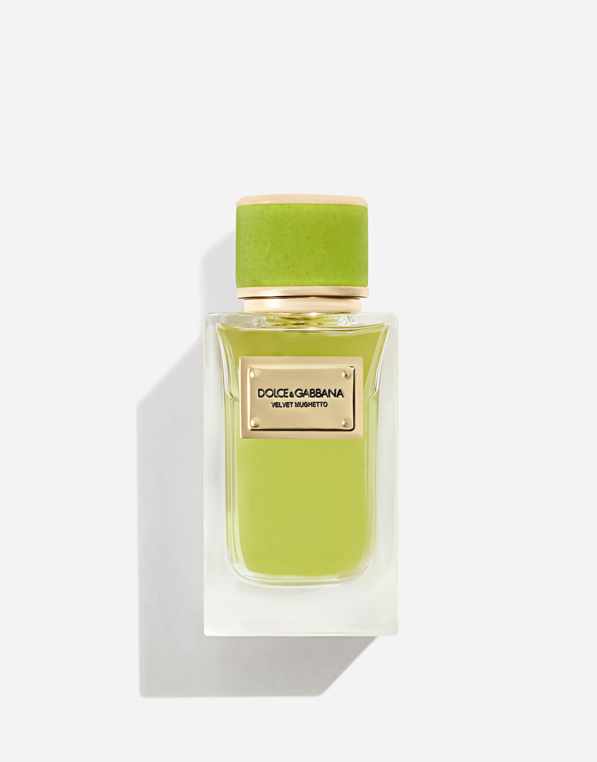 Dolce&Gabbana Velvet Mughetto