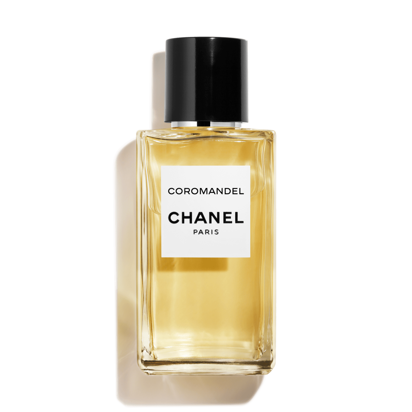 CHANEL COROMANDEL