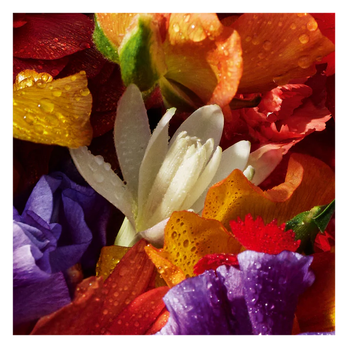 GUERLAIN Aqua Allegoria Forte FloraBloom