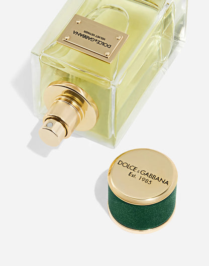 Dolce&Gabbana Velvet Vetiver