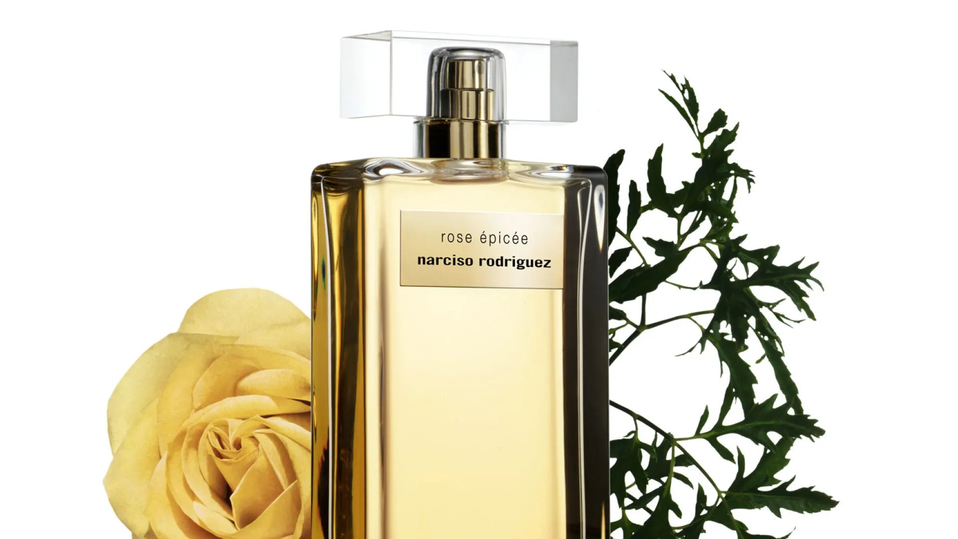 Narciso Rodriguez rose épicée