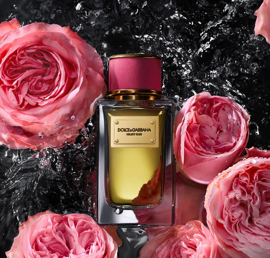 Dolce&Gabbana Velvet Rose