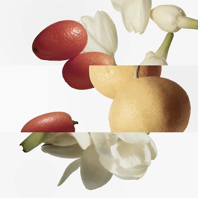 HERMÈS Le Jardin de Monsieur Li Eau de toilette