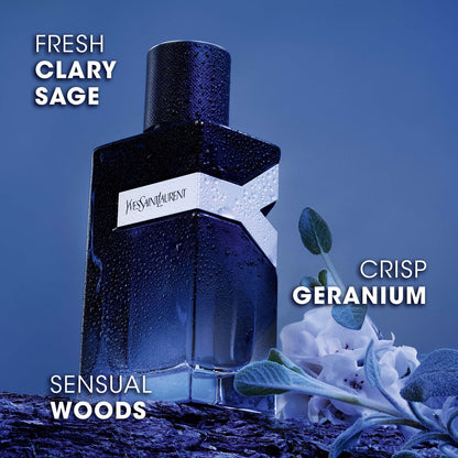 Yves Saint Laurent Y