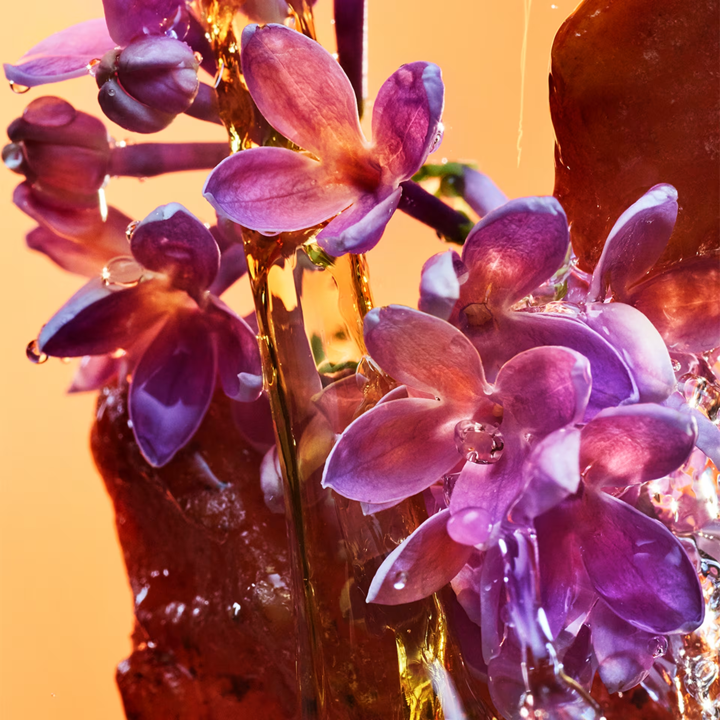 Bvlgari Allegra Rock’n’rome