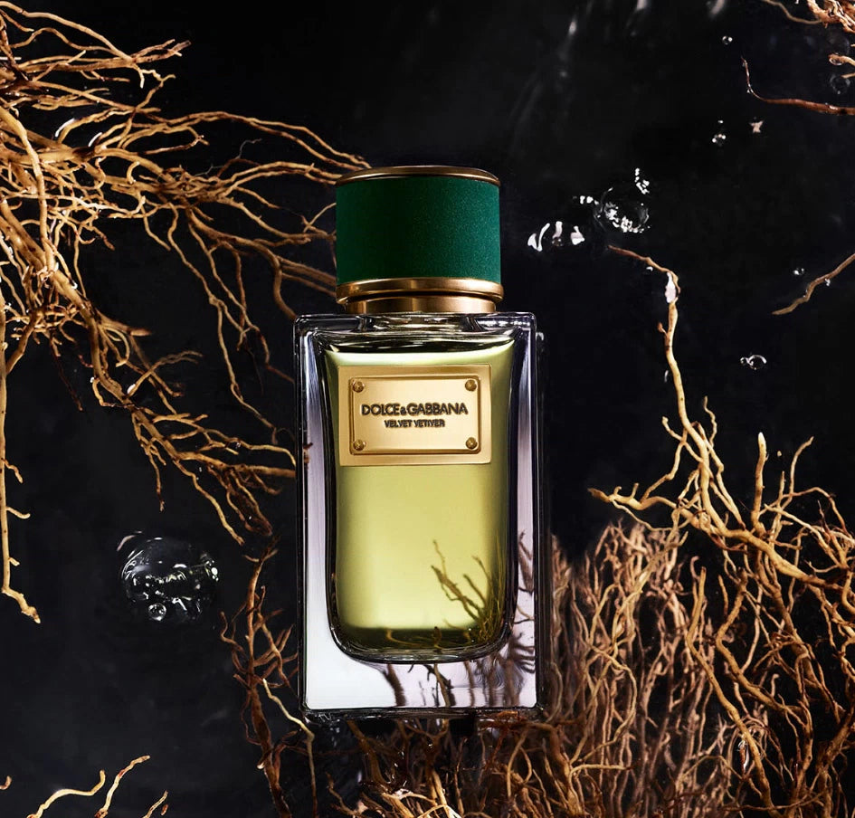 Dolce&Gabbana Velvet Vetiver