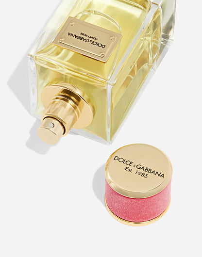 Dolce&Gabbana Velvet Rose