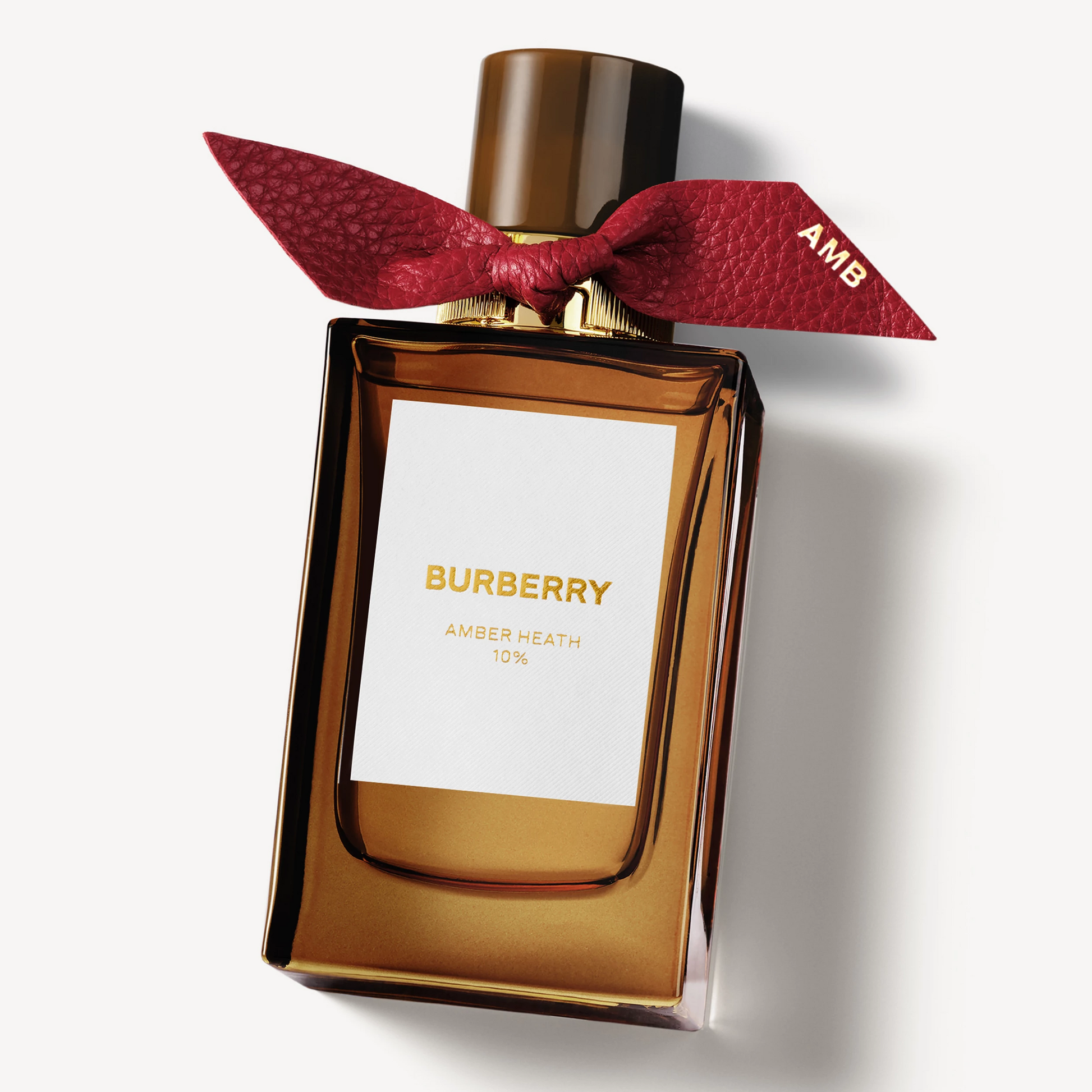 Burberry Signatures Amber Heath