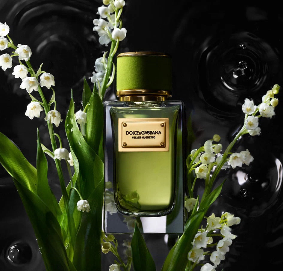 Dolce&Gabbana Velvet Mughetto