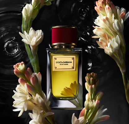 Dolce&Gabbana Velvet Desire